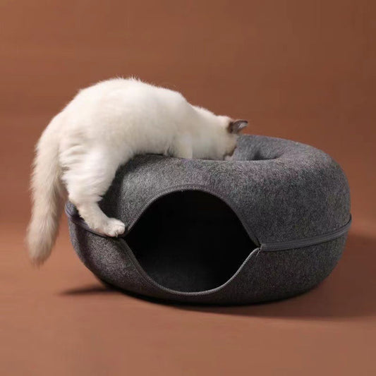 Cat Tunnel Benefits & Recommendations