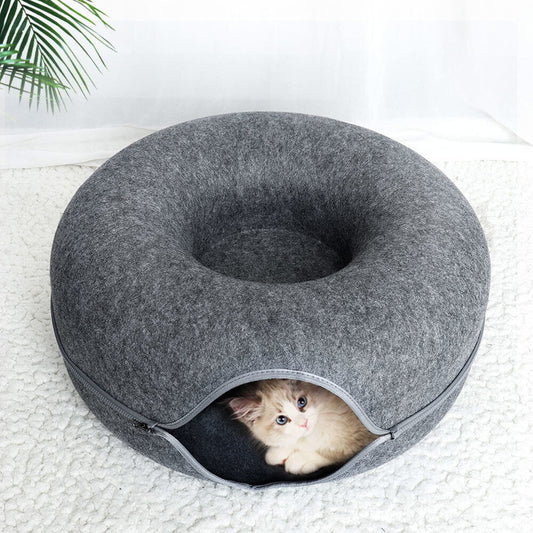 Are Tunnel Beds Safe for Kittens? Vet-Approved Tips