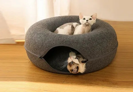 Do Cats Really Use Tunnel Beds?