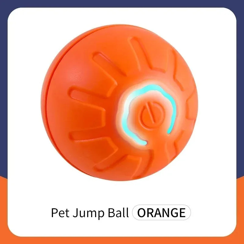 Auto Bounce Pet Ball