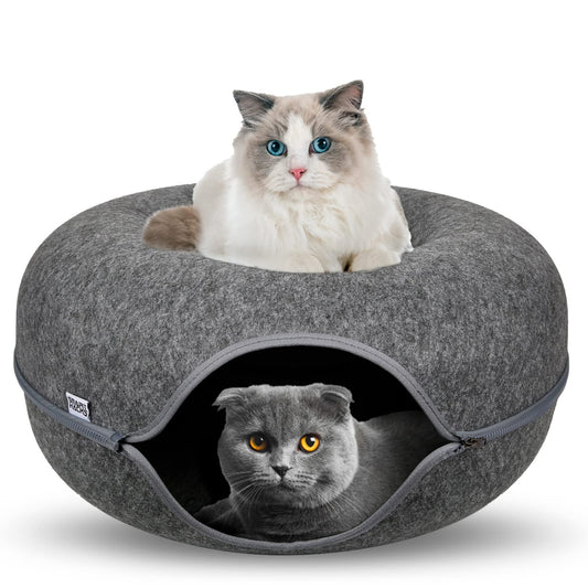 How to Train Your Cat to Use a Doughnut Tunnel Bed