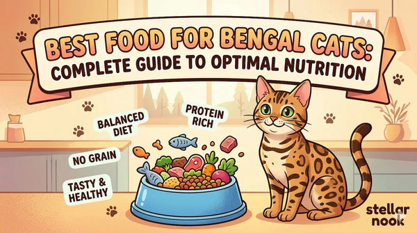 Best Food for Bengal Cats Complete Guide to Optimal Nutrition