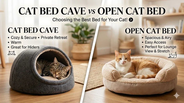 Cat Bed Cave vs Open Cat Bed
