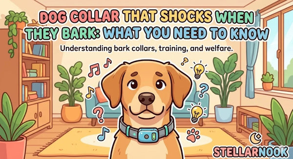Dog Collar That Shocks When They Bark