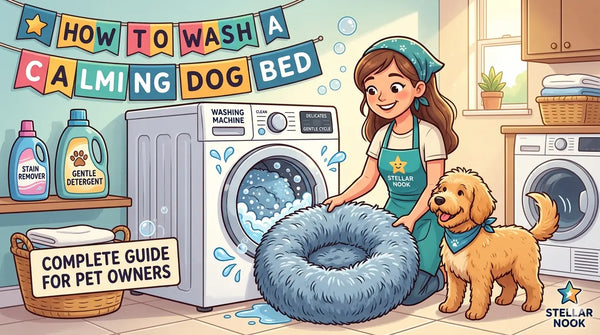 How to Wash a Calming Dog Bed: Complete Guide for Pet Owners