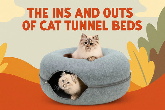 cat tunnel bed