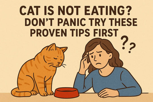 Cat Is Not Eating? Don’t Panic Try These Proven Tips First