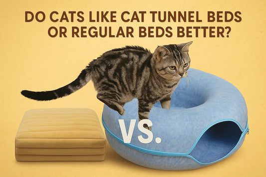 Cat tunnel bed
