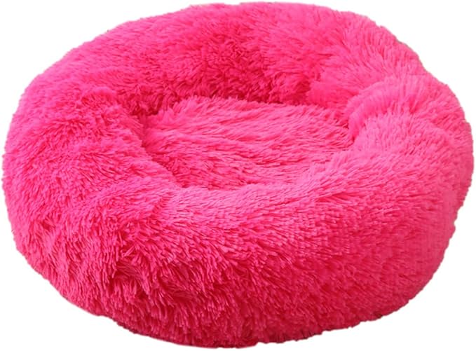 Rose_Red
