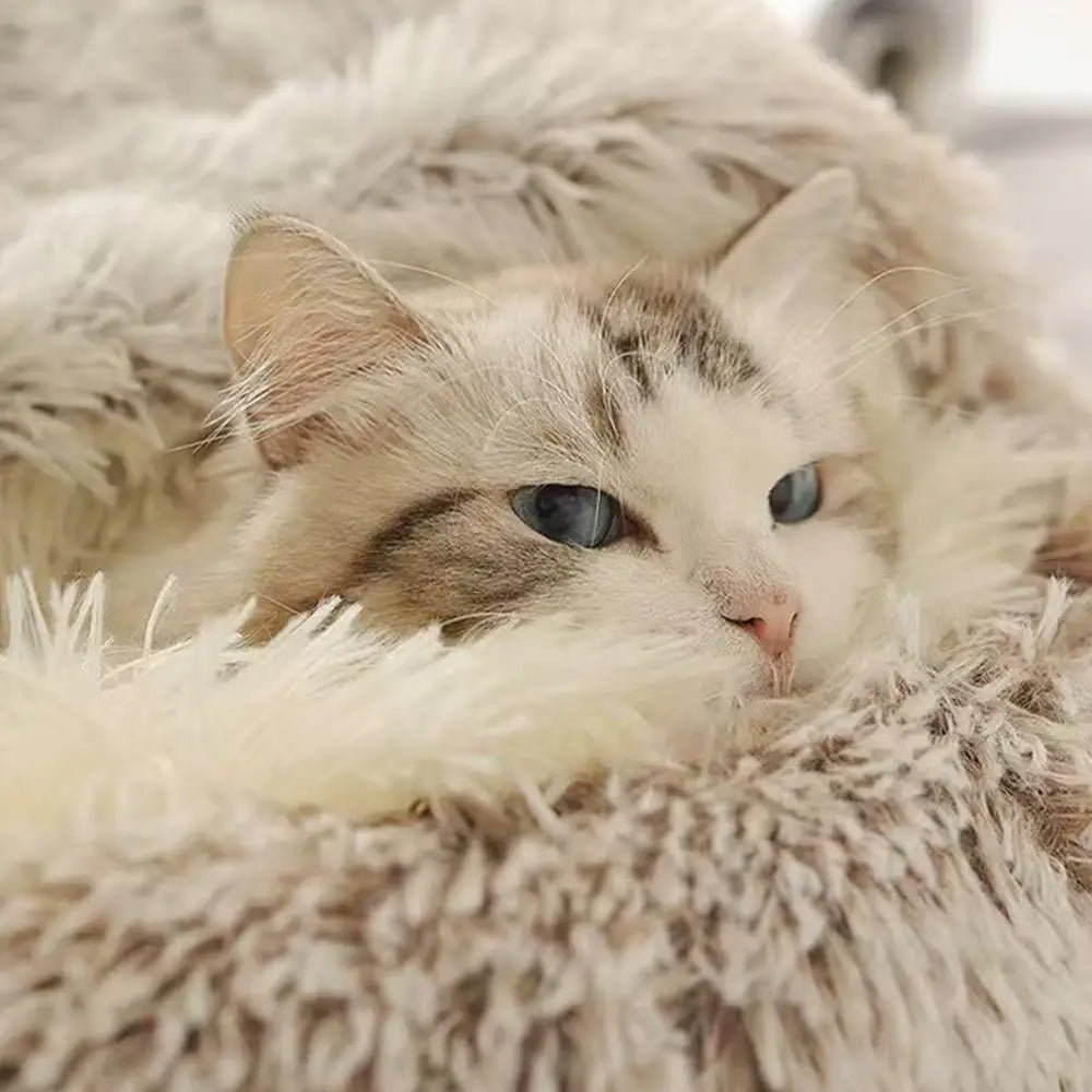 Winter Plush Pet Cat Bed Round Cat Cushion Cat House Warm Cats Basket Pet Sleep Bag Kitten Nest Kennel for Cats Pet Cats