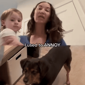 anti-bark-dog-collar-usb-rechargeable-video