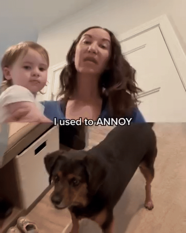 anti-bark-dog-collar-usb-rechargeable-video