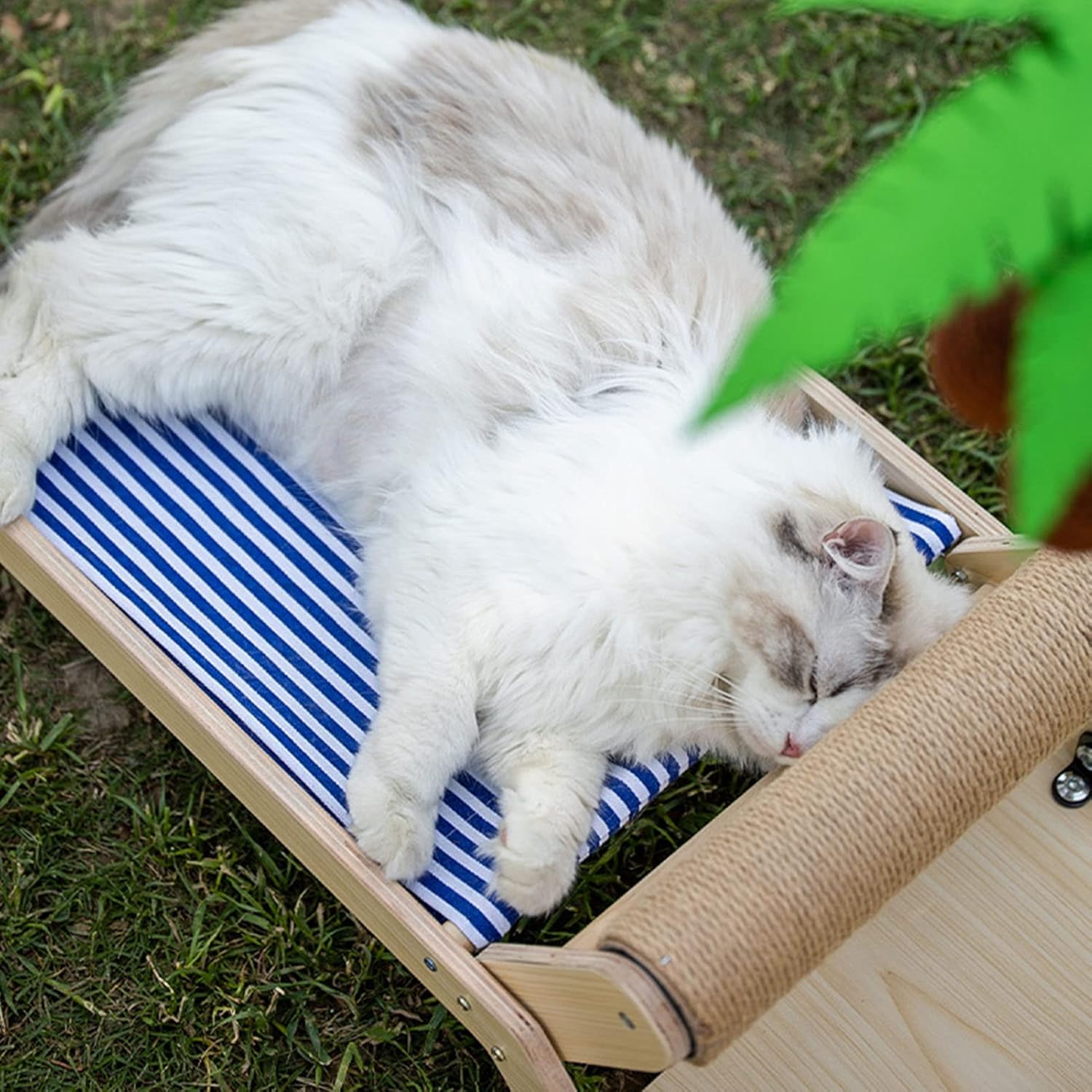 cat-beach-chair-elevated-cozy-lounger