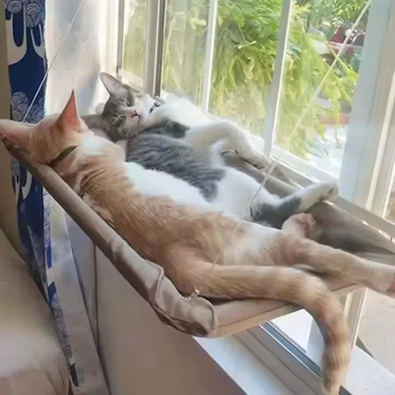 cat-window-hammock-foldable-suction-cup-window-perch-bed-for-indoor-cats