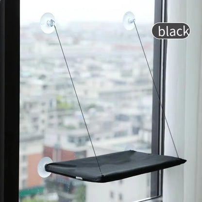cat-window-hammock-style