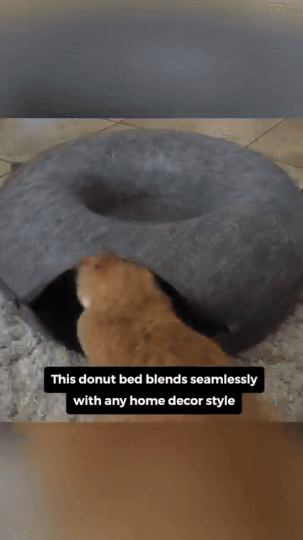 comfortable-cat-tunnel-bed-in-grey-color-video