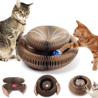 twisty-paws-round-cat-scratcher-with-ball-toy-two